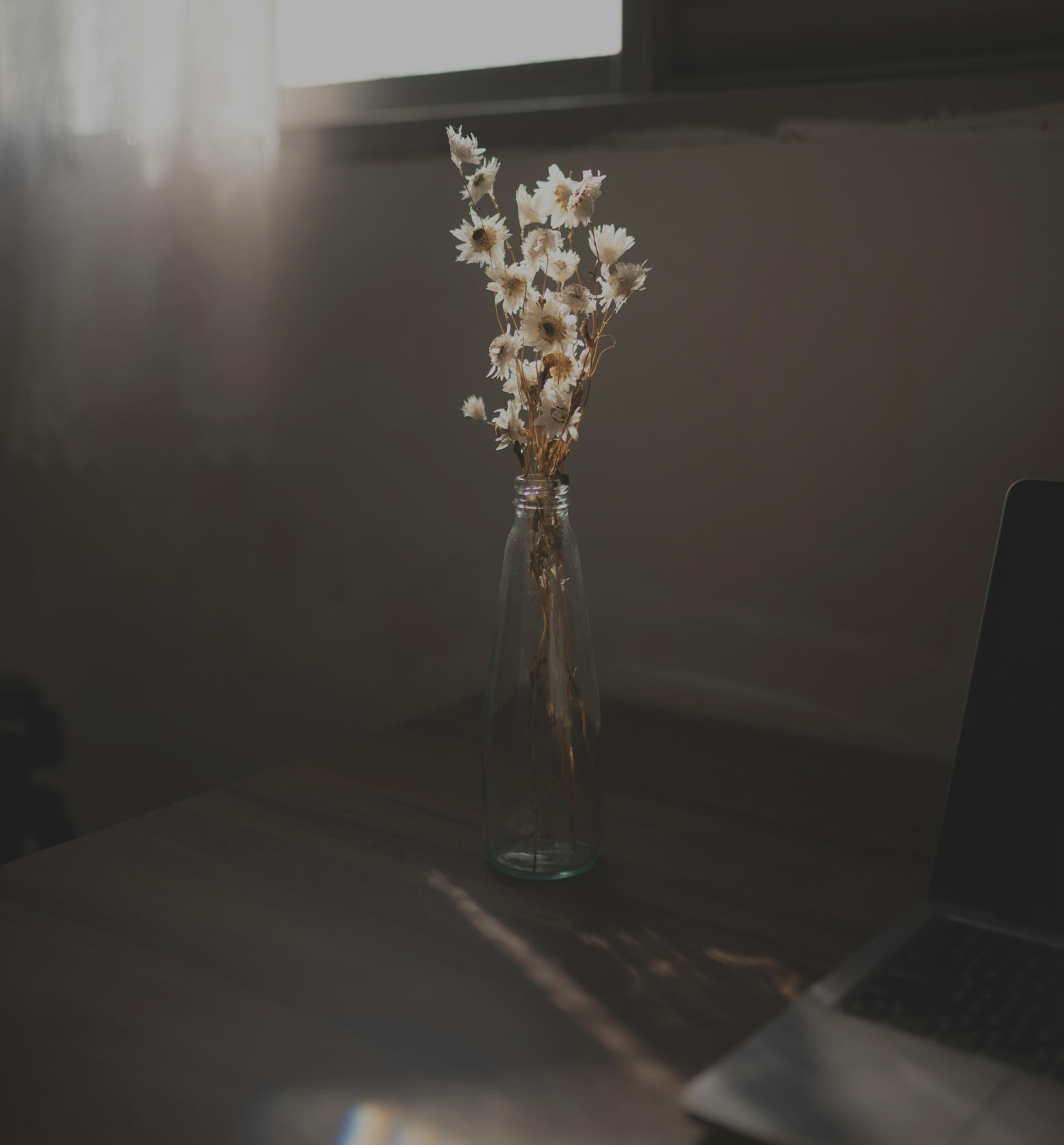 A laptop near a sunlit window and a glass vase with delicate flowers beside it.