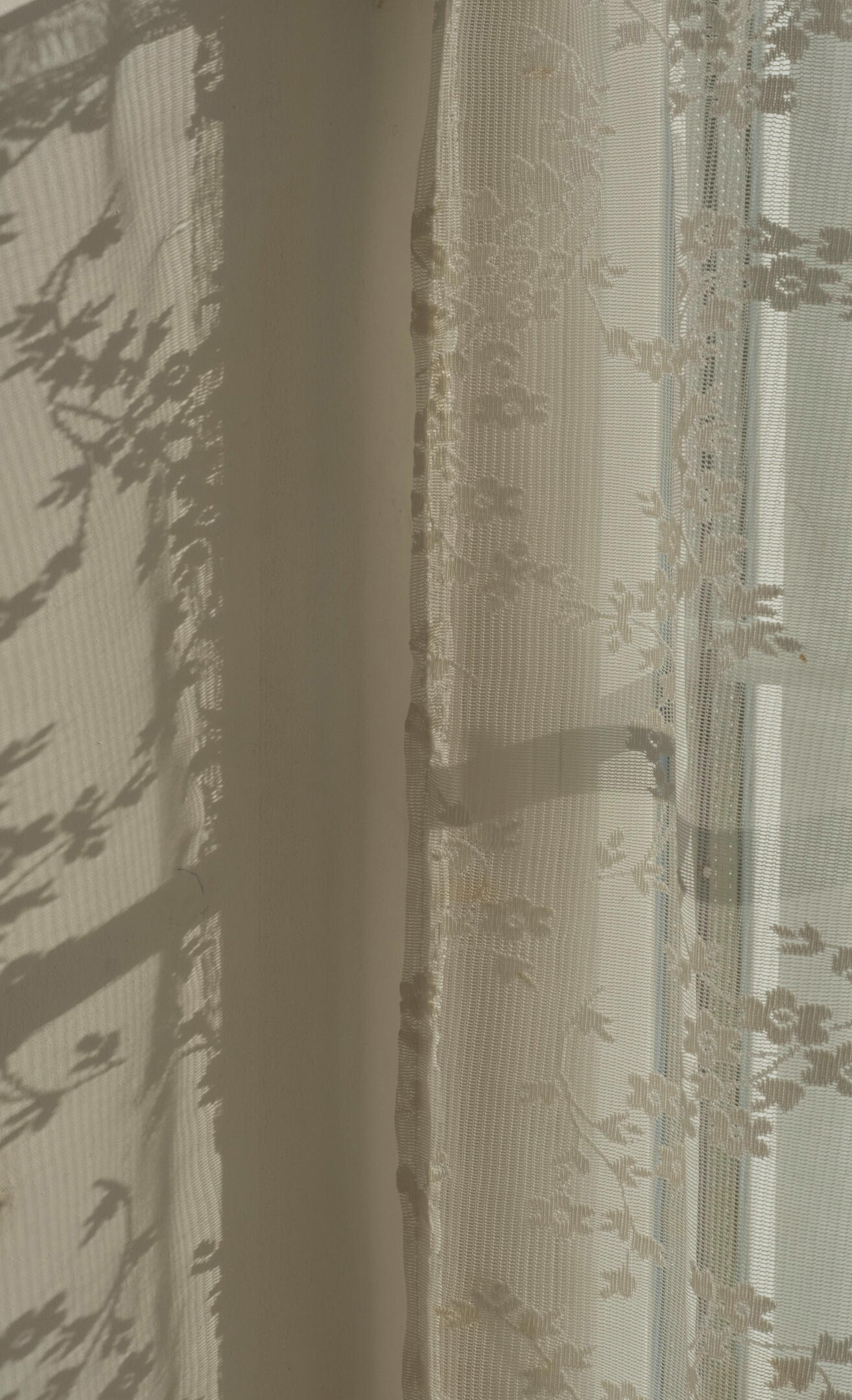 Sunlight passing through delicate curtains of a window.
